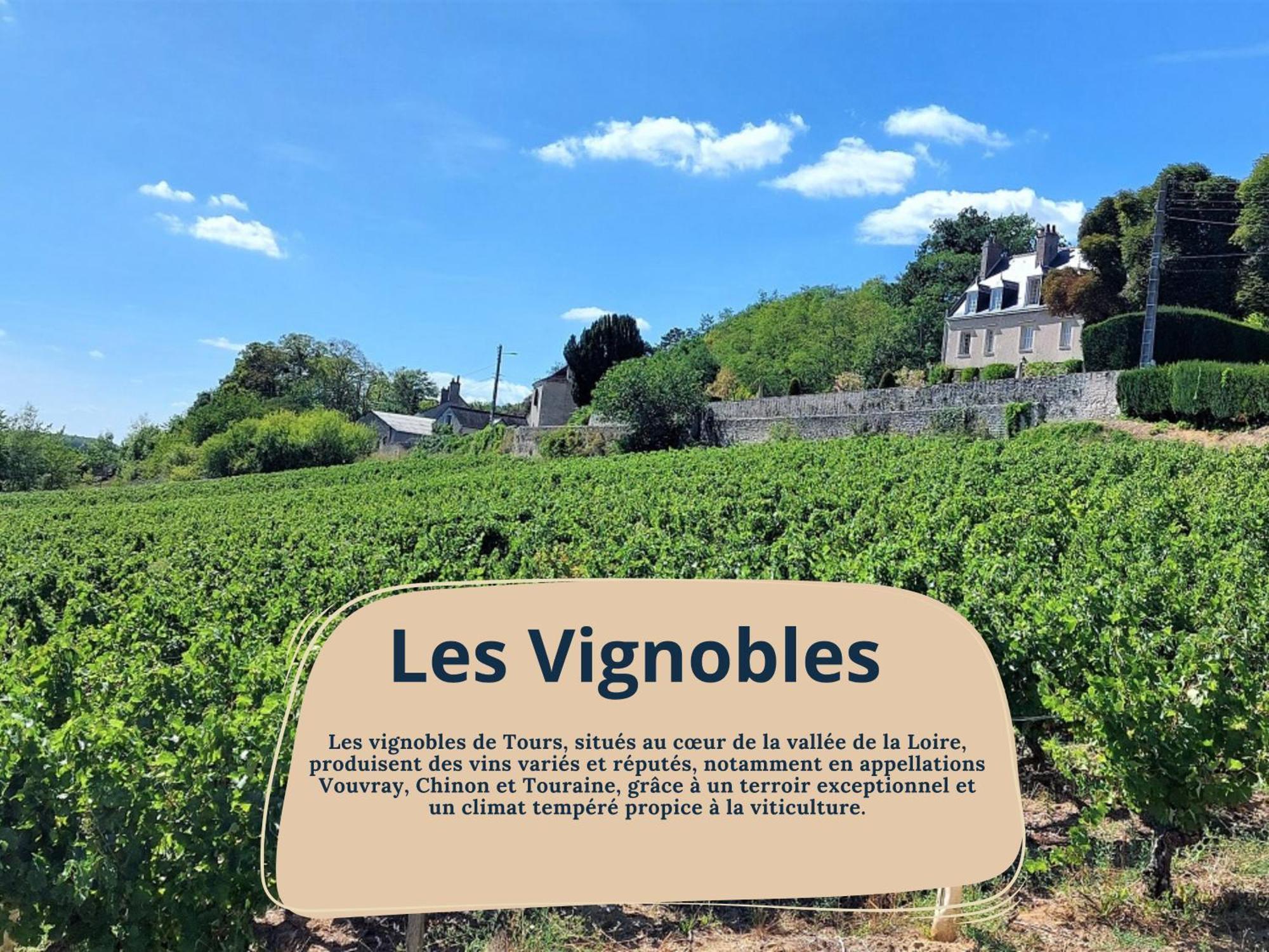 La Jonquille - A 2 Min De * Tours